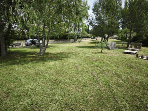 Photo de galerie - ENTRETIEN DE JARDIN 