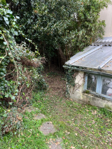 Photo de galerie - Tonte de pelouse - Débroussaillage