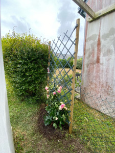 Photo de galerie - Création d’un support (par vue) propice pour le rosier grimpants et plantation 