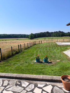 Photo de galerie - Entretien Parc et jardin