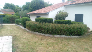 Photo de galerie - Jardinier