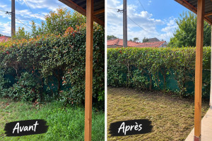 Photo de galerie - Mise à jour d’un petit jardin sur Merignac (partie 2)