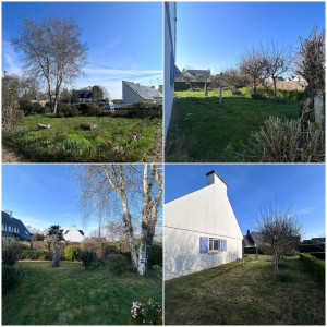 Photo de galerie - Tonte de pelouse - Débroussaillage