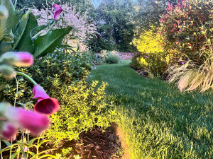 Photo de galerie - Paysagiste - Aménagement du jardin