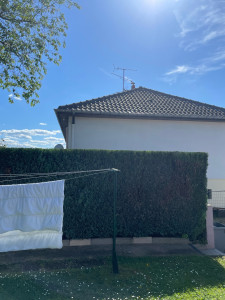 Photo de galerie - Taille de haie