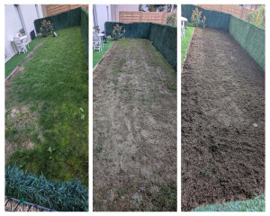 Photo de galerie - Scarification d'un jardin pour enlever le feutre et la mousse, apport de terreau et de graines pour regarnissage du gazon.