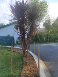 Photo de galerie - Aménagement d'un espace paysager 