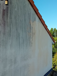 Photo de galerie - Pour une couleur blanc d'origine.