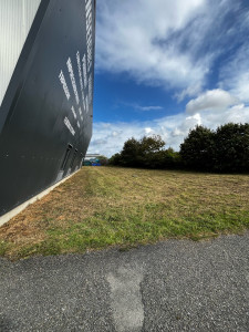 Photo de galerie - Tonte + débroussaillage d’un terrain 