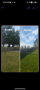 Photo de galerie - Elagage et coupe d'arbres