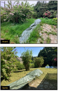 Photo de galerie - Tonte de pelouse - Débroussaillage