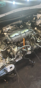 Photo de galerie - Dépose et repose moteur 1.9 tdi Seat Leon 