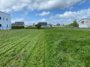 Photo de galerie - Débroussaillage biannuel d’un terrain. Un entretien régulier pour garder vos espaces sous contrôle.
