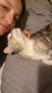 Photo de galerie - Mon chat Livi que j'ai depuis plus de 3 ans maintenant 