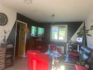 Photo de galerie - Déco salon pose de toile, peinture velours 