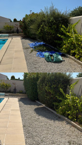 Photo de galerie - Taille d’arbustes