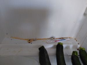 Photo de galerie - Nettoyage frigo
