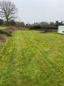 Photo de galerie - Tonte