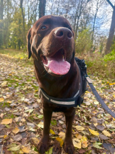 Photo de galerie - OSLO