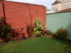 Photo de galerie - Peindre les murs et plantation 