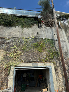 Photo de galerie - Travaux d' abattage arbre en hauteur 
