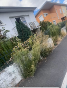 Photo de galerie - Jardinier