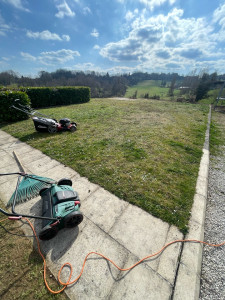 Photo de galerie - Tonte de pelouse - Débroussaillage