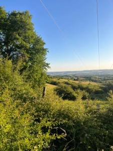 Photo de galerie - Elagage d'un arbre près d'une ligne à haute tension