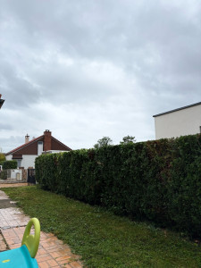 Photo de galerie - Bonjour, j’ai effectué une taille de chez encore satisfait