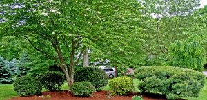 Photo de galerie - Passionné 