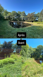 Photo de galerie - Débroussaillage autour d’un étang 