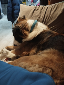 Photo de galerie - Ma dernière poupée 