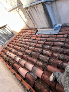 Photo de galerie - Remaniement et Demoussage, pour sauver ce toit, en tuile canal