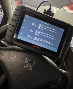 Photo de galerie - Diagnostic avec rapport et interprétation des codes défauts 