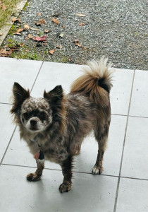 Photo de galerie - Swanni 