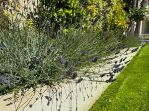 Photo de galerie - Conception et création de jardins