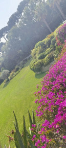 Photo de galerie - Tonte et entretien 