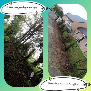 Photo de galerie - Pose de clôture souple 
Plantation d'une haie bocagère