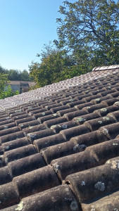 Photo de galerie - Couverture - Toiture