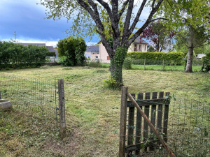 Photo de galerie - Tonte de pelouse - Débroussaillage