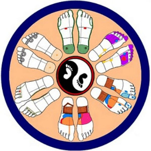 Photo de galerie - La santé par la réfléxologie 