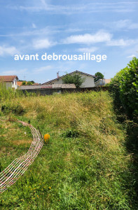 Photo de galerie - Debrousaillage 