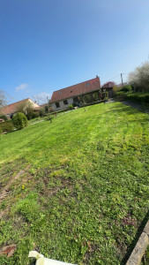 Photo de galerie - Tonte après  