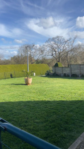 Photo de galerie - Tonte 