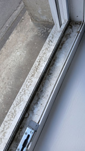 Photo de galerie - Avant nettoyage tour de fenêtres 