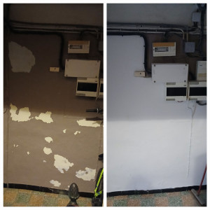 Photo de galerie - Préparation du support (rebouchage, ponçage,et dépoussiérage), application d'un enduit de finition sur le mur , puis mise en peinture en deux couches afin d'obtenir une finition propre , uniforme et durable.