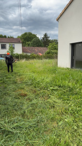 Photo de galerie - Débroussaillage d’un terrain laisser en friche 