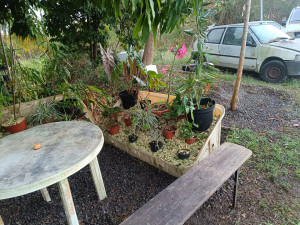 Photo de galerie - Paysagiste - Aménagement du jardin