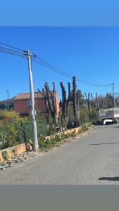 Photo de galerie - Après 