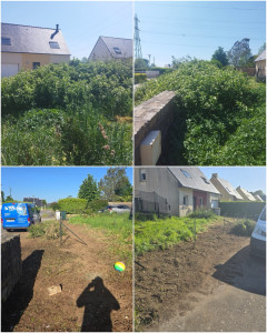 Photo de galerie - élagage, enlèvement des racines 